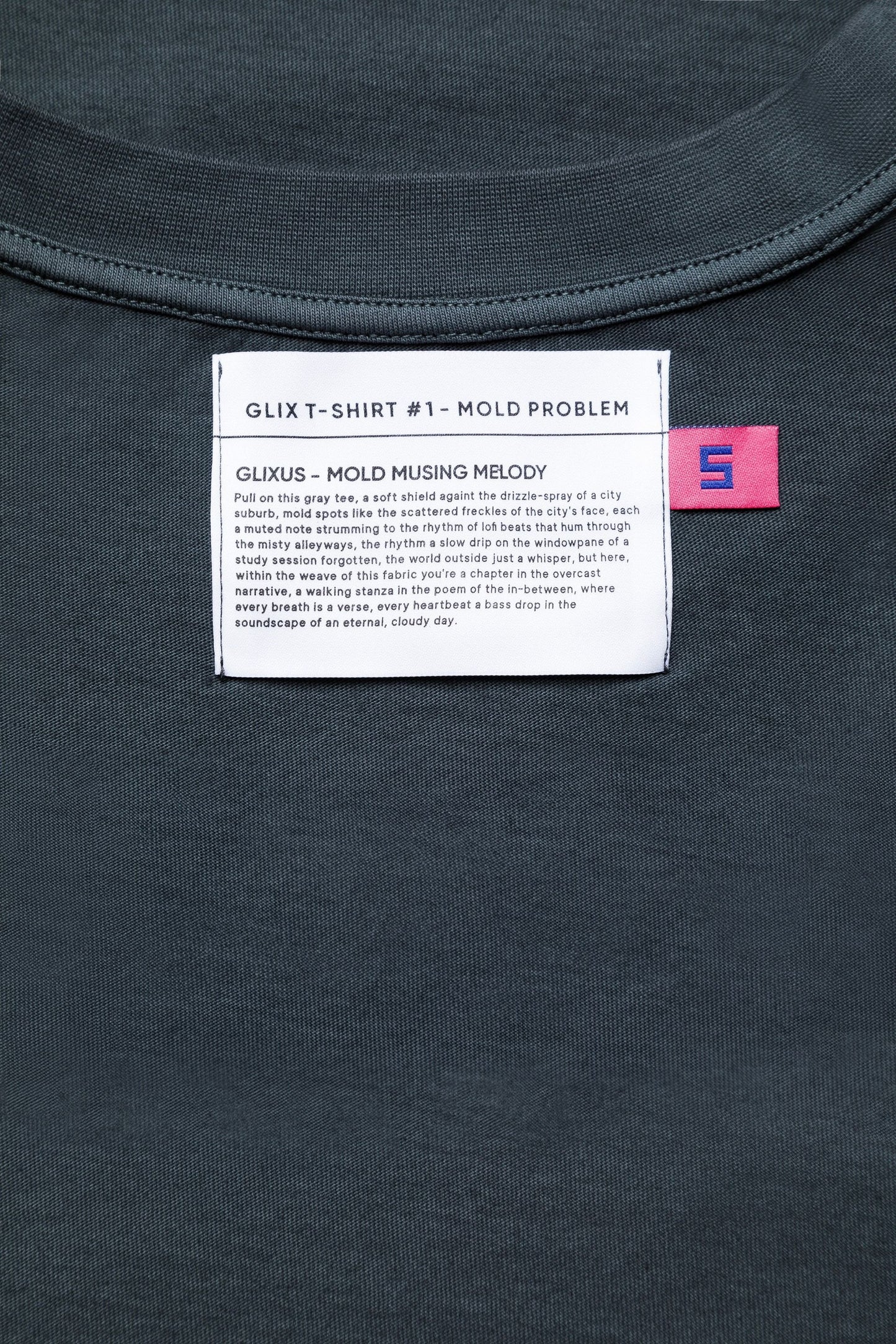 GRAY OVERSIZE T-SHIRT - MOLD PROBLEM