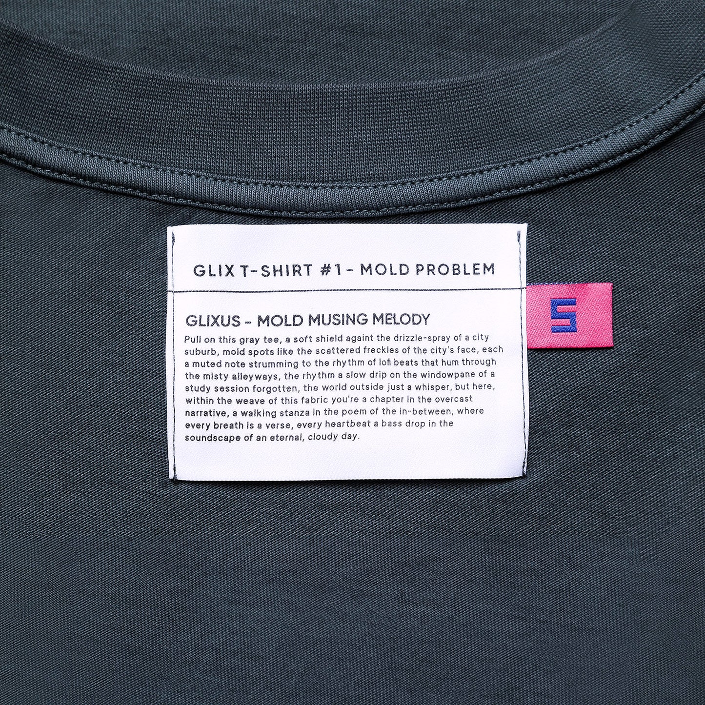 GRAY OVERSIZE T-SHIRT - MOLD PROBLEM